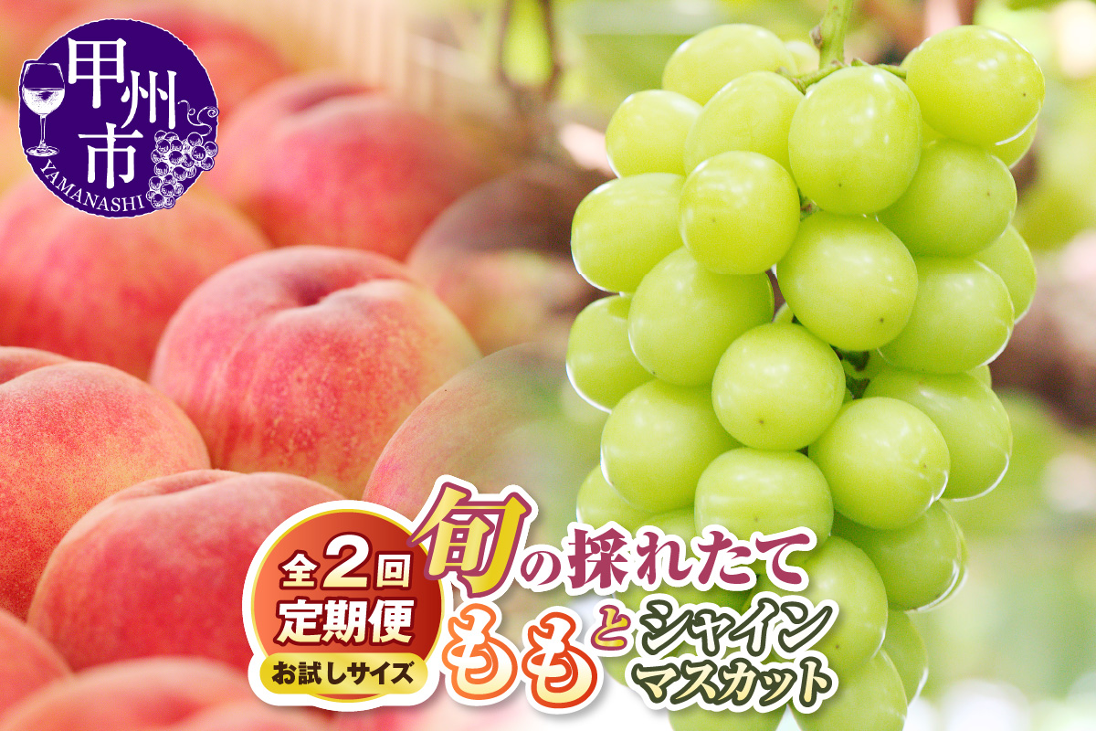 【定期便】【お試しサイズ】旬の採れたて2回定期便（桃・シャインマスカット）【2026年発送】（HO）B14-1410