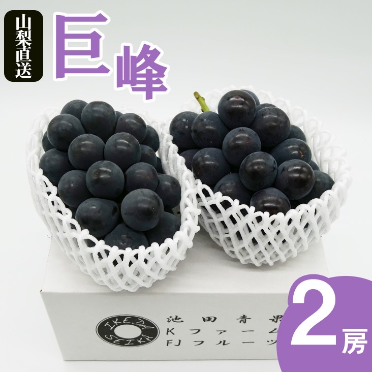 厳選 池田青果 巨峰 1.0kg以上 2房入り【2025年発送】（IS）B-468