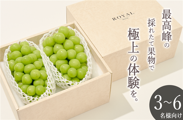 甲州市産 大粒シャインマスカット2房入り 約1.3kg 自然農法【2026年発送】(BNC）D5-110