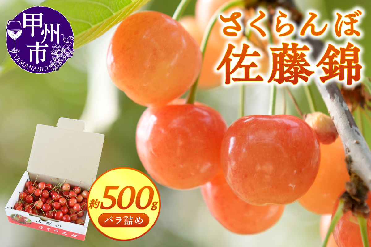 【宿沢フルーツ農園】のさくらんぼ 佐藤錦 約500g 化粧箱 バラ詰め【2026年発送】（SF）B12-144