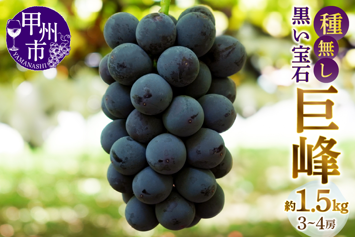 甲州市産種無し巨峰 約1.5kg（3房～4房）【2026年発送】（MG）B12-471