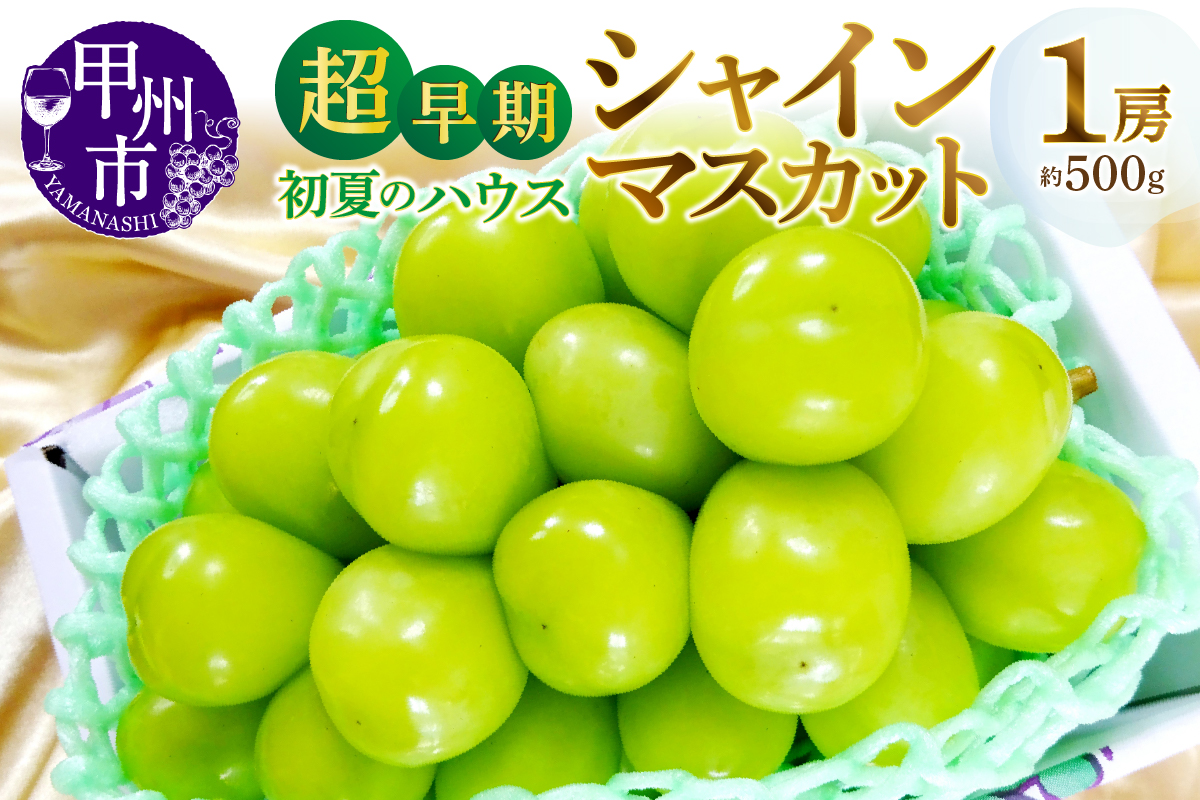甲州市産『超早期 初夏のハウスシャインマスカット』約500g 1房【2026年発送】（MG）C-450