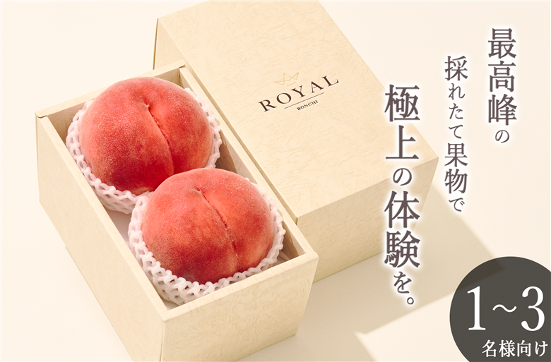 甲州市産 大玉桃 2個入り 900g以上 自然農法【2026年発送】（BNC）B-444