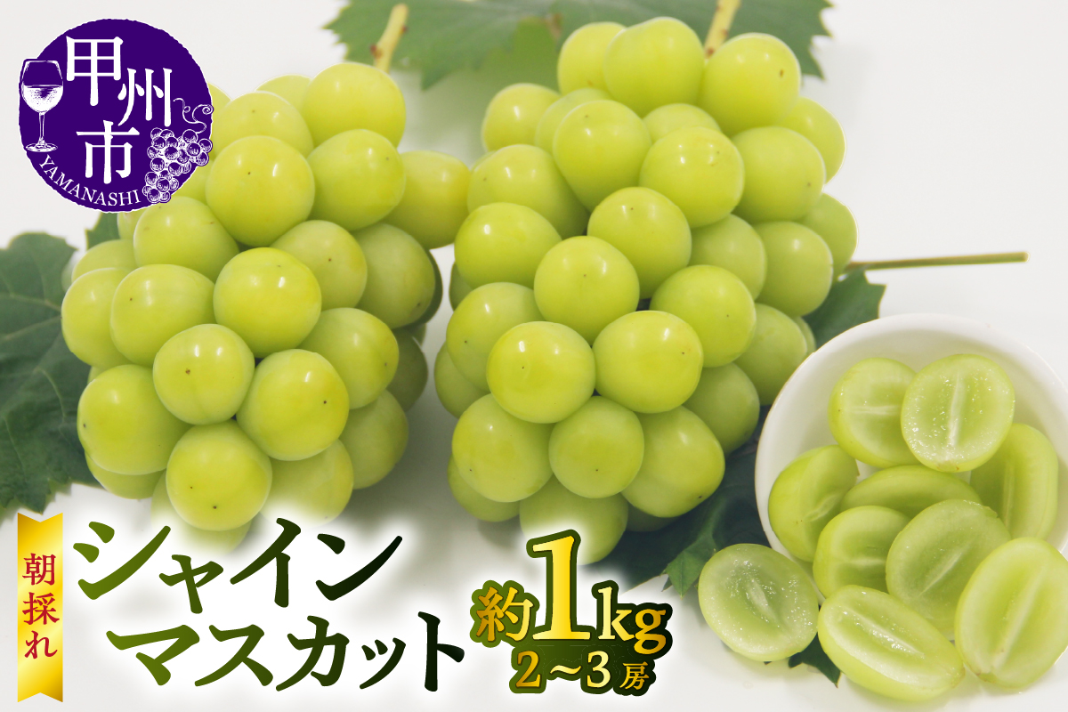 【宿沢フルーツ農園】シャインマスカット 約1.0kg（2～3房）【2026年発送】（SF）B-181