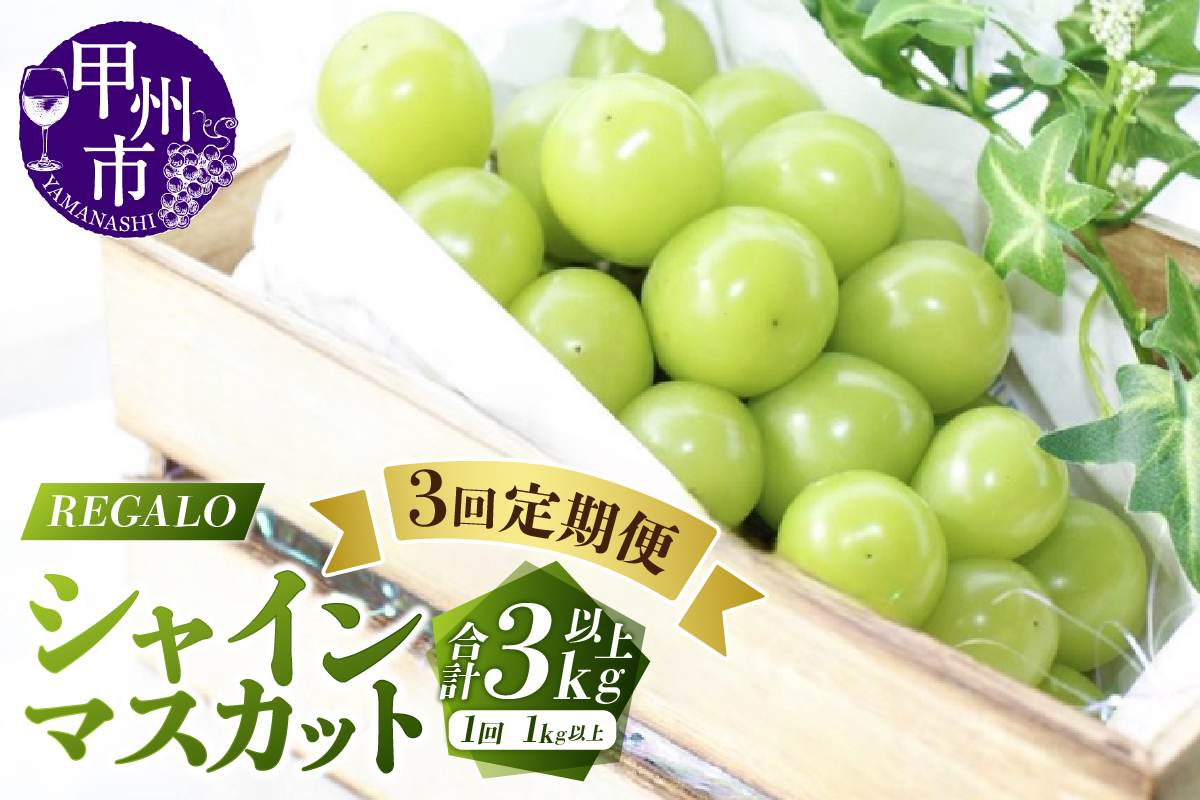【シーズン中3回お届け定期便】頬張る幸福感～緑の宝石・シャインマスカット～1kg以上 2～3房【2026年発送】（RG）C3-840