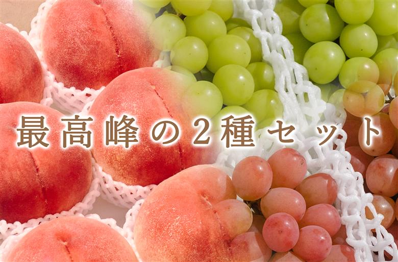 【定期便】甲州市自慢のたっぷり2種セット"桃5kg"と"シャイン＆サンシャインレッド4房入"自然農法【2026年発送】（BNC）H2-425