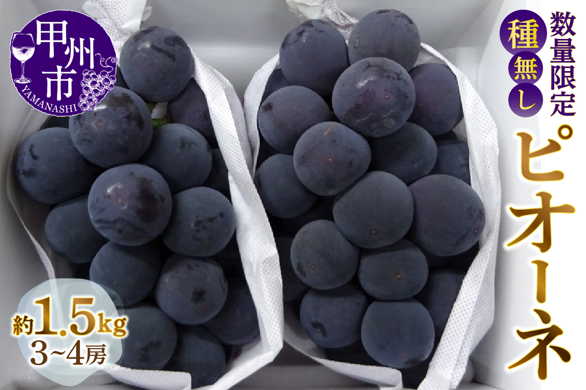 甲州市産 種なしピオーネ 約1.5kg【2026年発送】（MG）B12-473