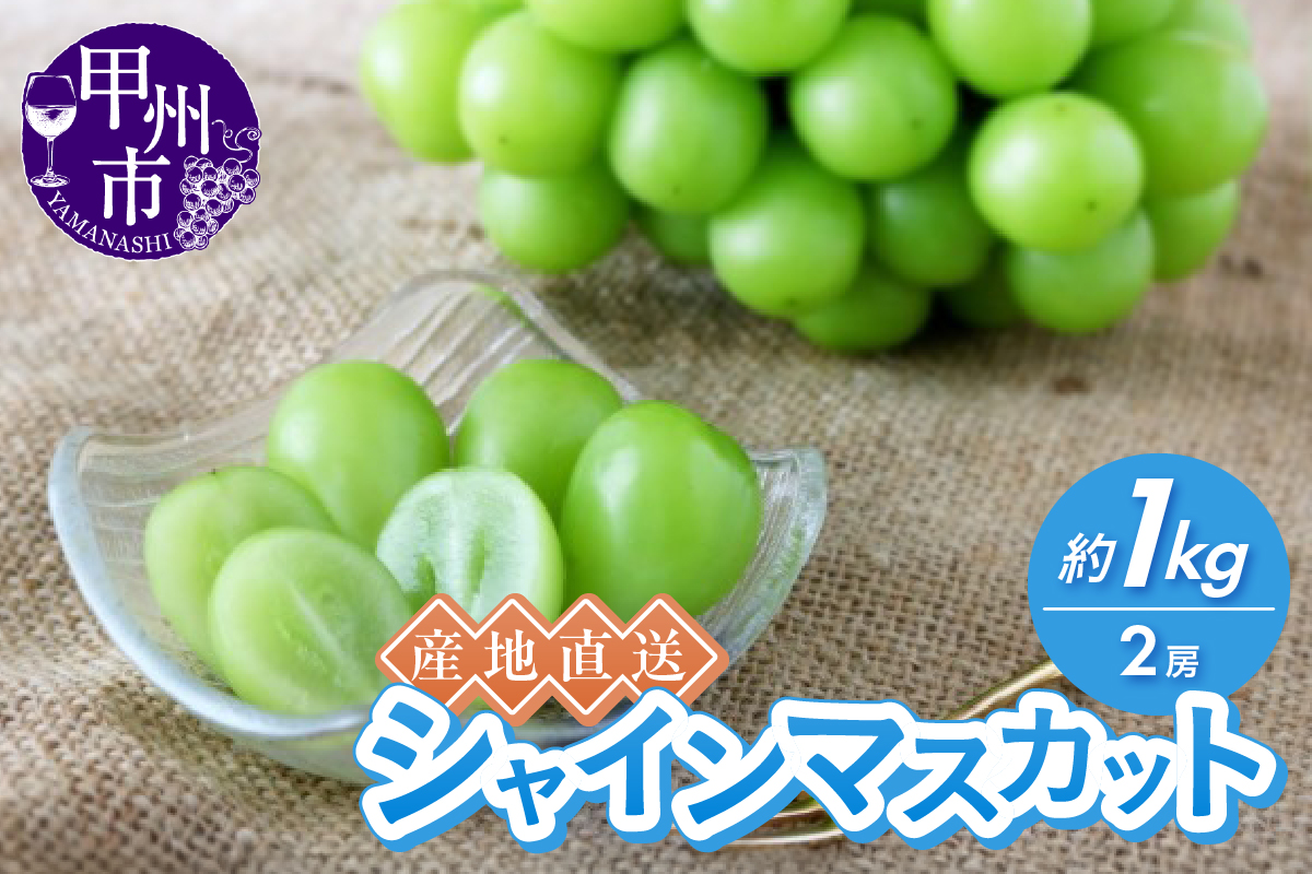 産地直送やみつきシャインマスカット 約1kg（2房）【2026年発送】（RC）B-434