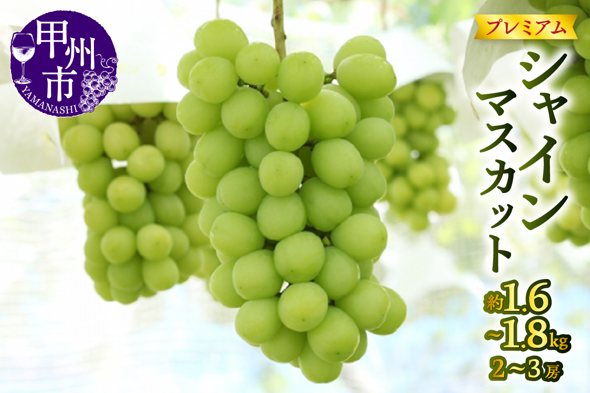 【宿沢フルーツ農園】プレミアムシャインマスカット約1.6～1.8kg（2～3房）【2026年発送】（SF）C-124