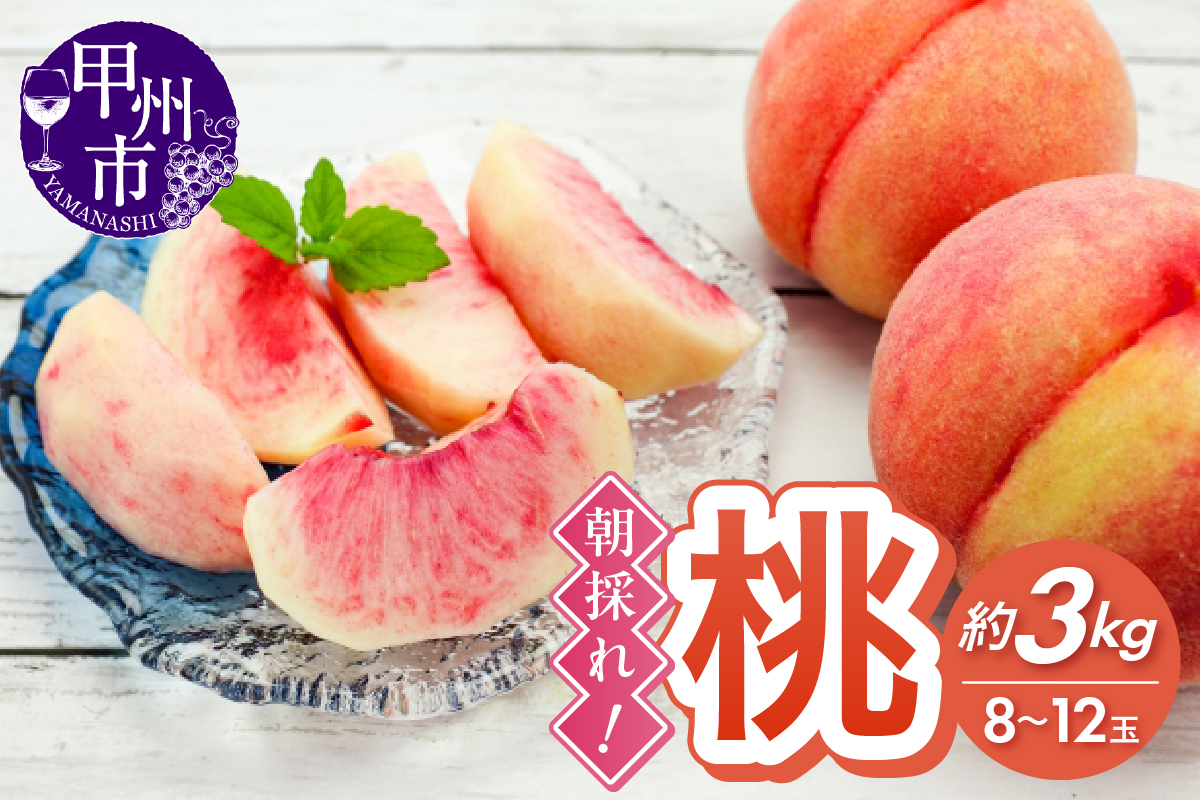 朝採れ！甲州市産桃 約3kg（8～12玉）【2025年発送】（RC）B15-436 rocca
