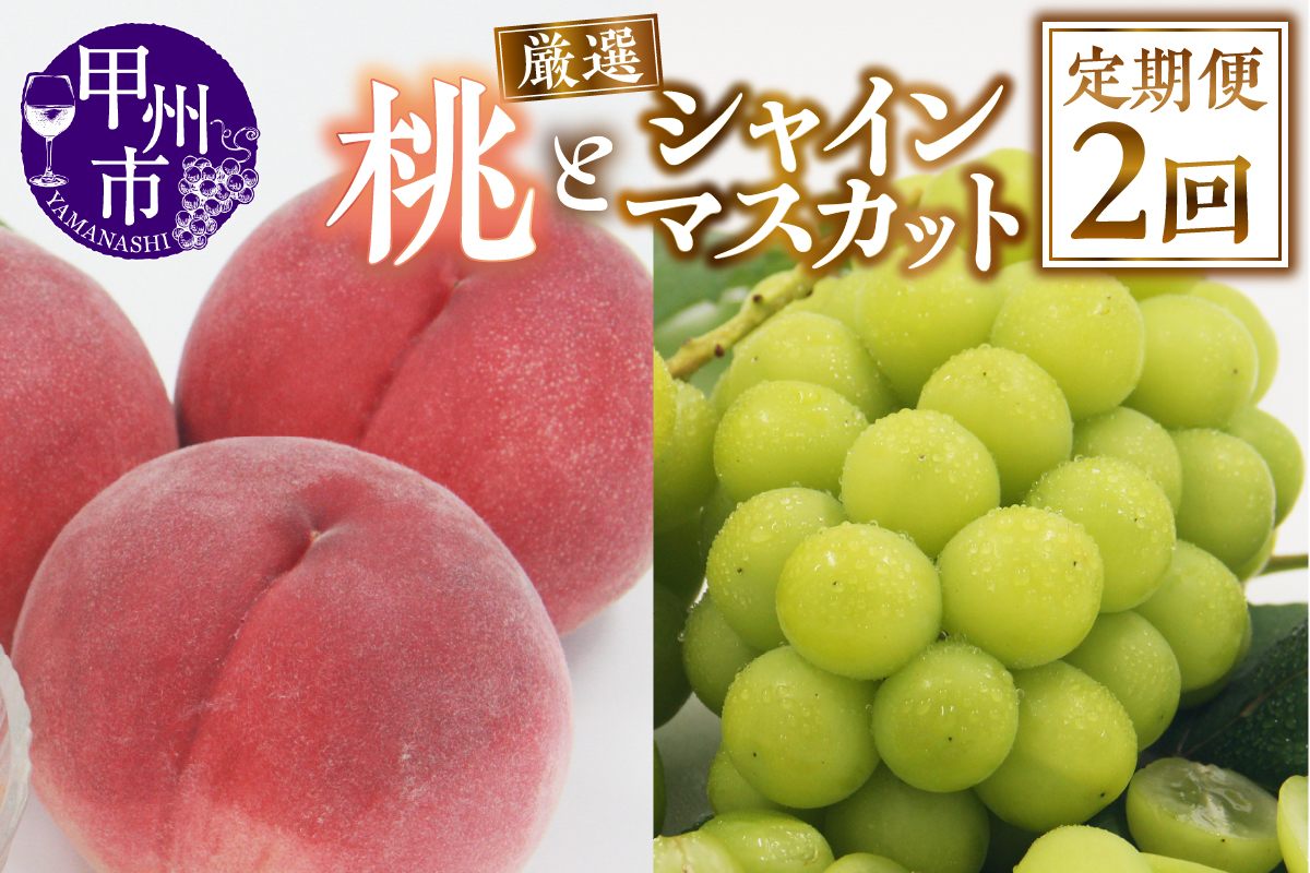 【定期便】甲州市産 厳選 もも×シャインマスカット『フルーツ定期2回便』【2026年発送】（APX）C-175