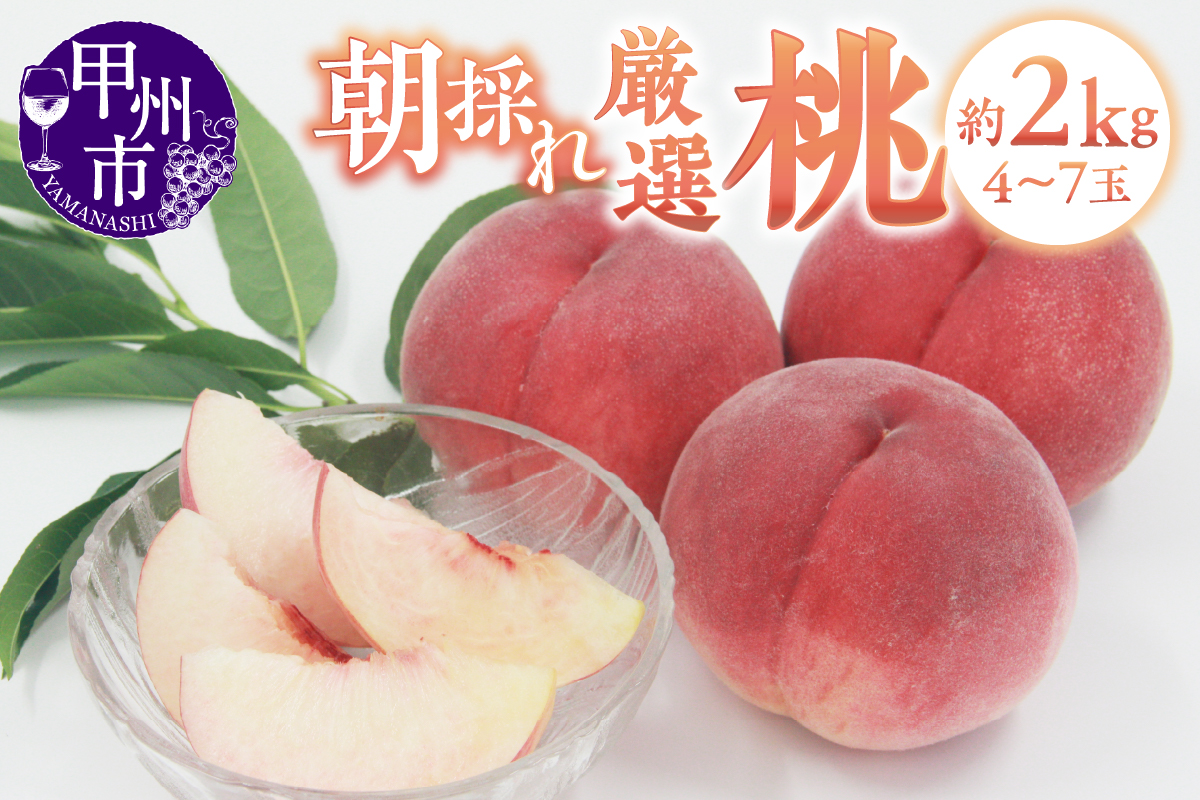 甲州市産 厳選 もも 約2kg（4～7玉）【2026年発送】（APX）B-197