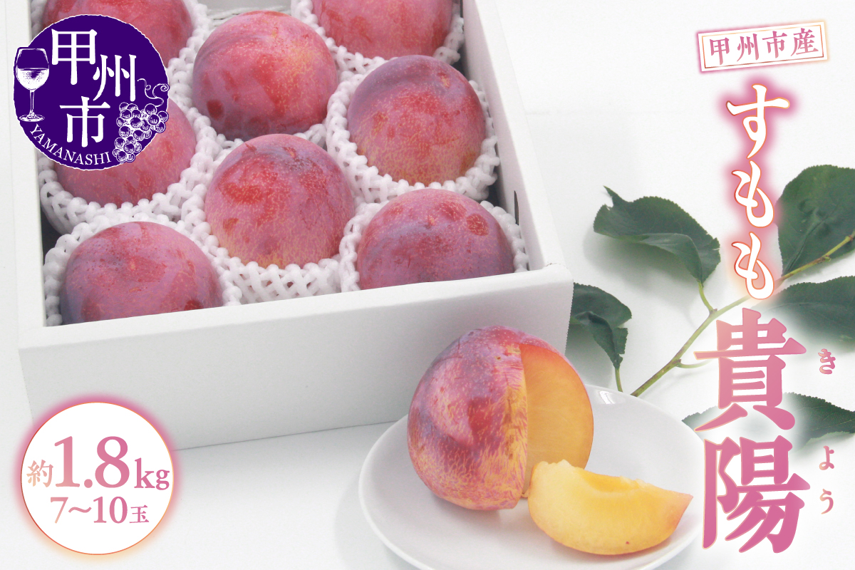 甲州市産 すもも『貴陽』約1.8kg（化粧箱大玉7～10玉）【2026年発送】（APX）B15-196
