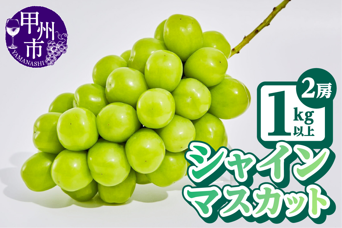 【農林水産大臣賞受賞!!】シャインマスカット2房1kg以上【2026年発送】（AGB）B12-445