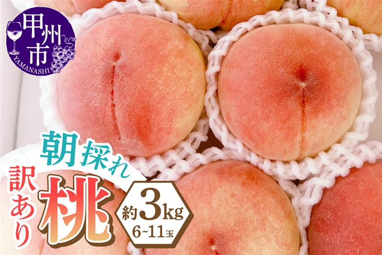 味自慢桃【訳あり品】を感謝込めて朝どれでお贈りします！約3kg（6～11玉）【2026年発送】（LMS）B-418