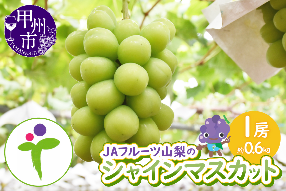 JAフルーツ山梨 甲州市産シャインマスカット 1房【60】【2025年発送】B-107