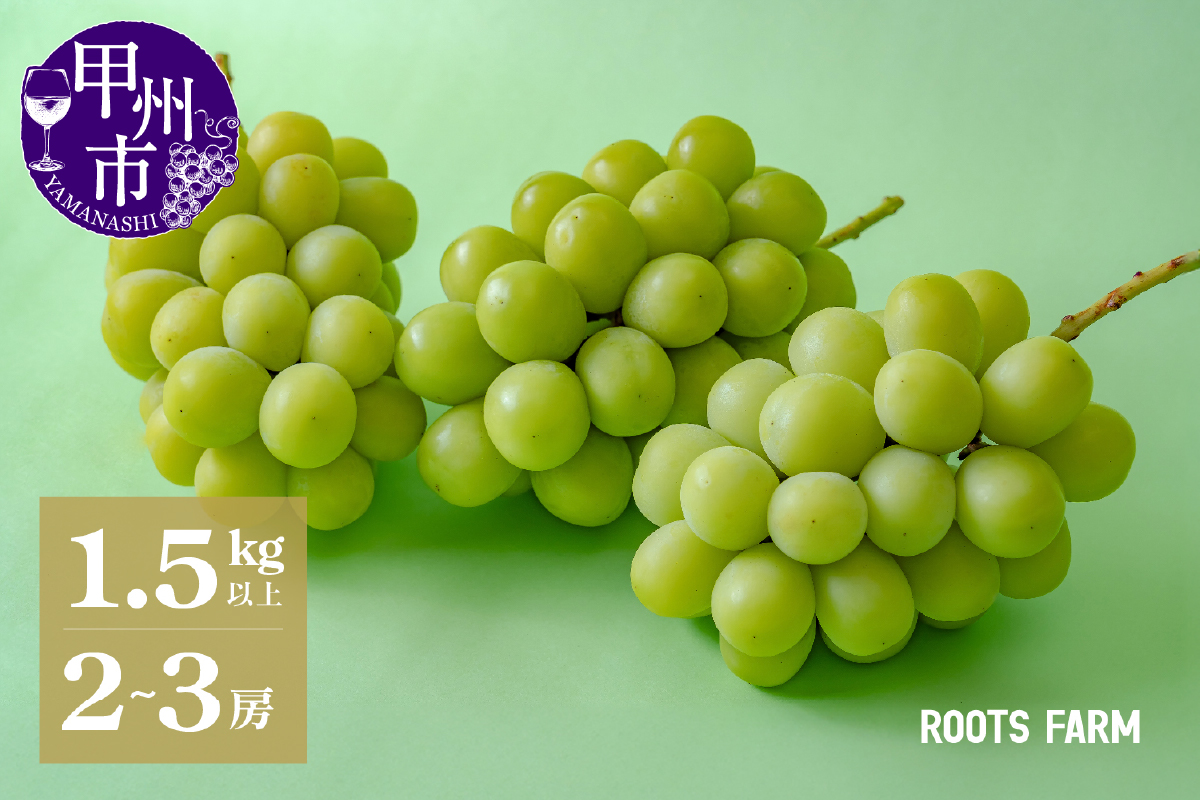 【数量限定】高品質なROOTS FARMシャインマスカット 1.5kg以上 2～3房入【2025年発送】（RO）C-135