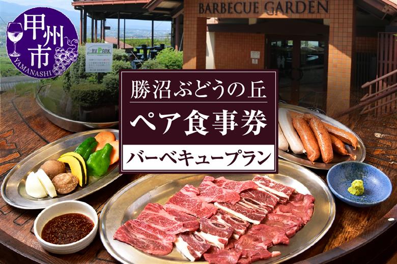 勝沼ぶどうの丘バーベキュー ペアお食事券（KBO）C-1302
