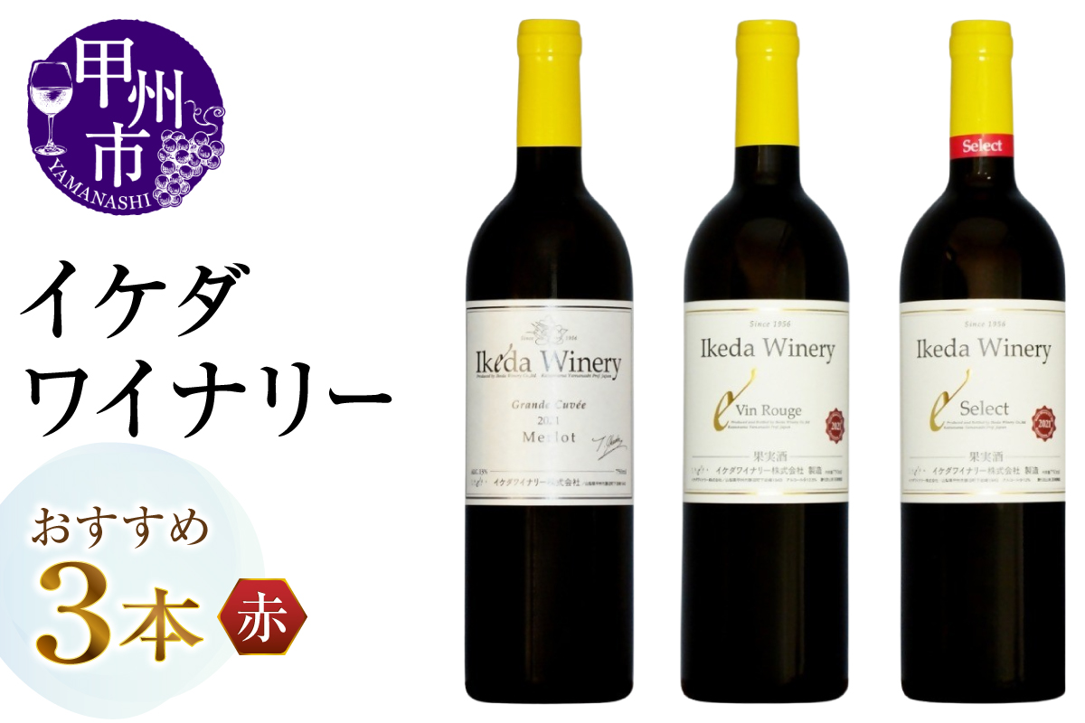 イケダワイナリーおすすめ赤ワイン3本セット(MG)C7-654