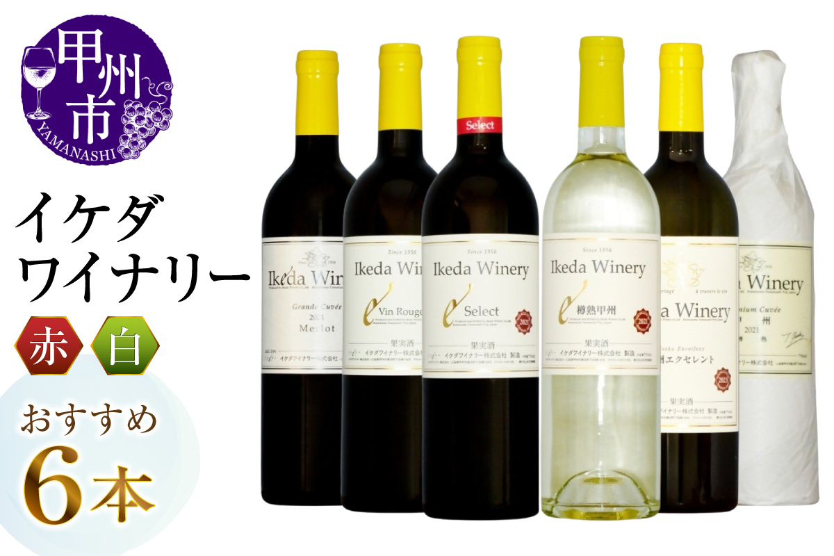 イケダワイナリーおすすめ赤白6本セット(MG)E6-670