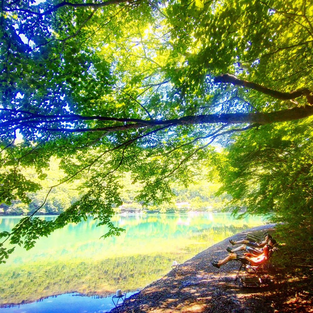 「湖畔の楽園ドラゴンサウナ」サウナご利用１名様分チケット[5839-2125]