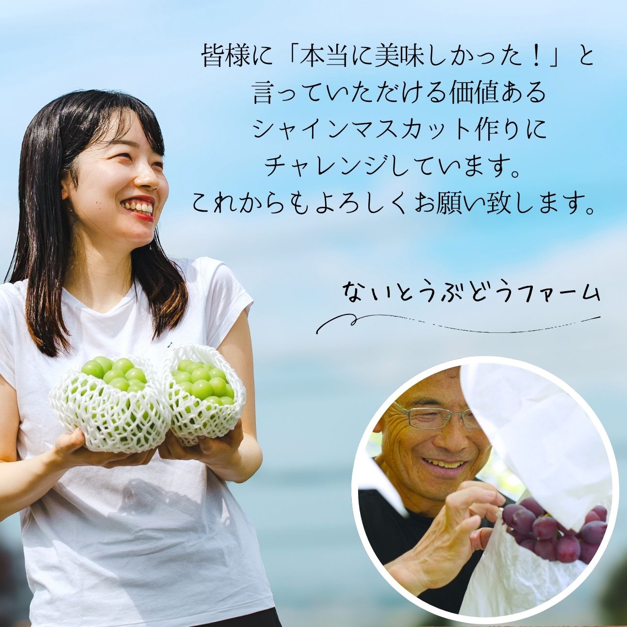 シャインマスカット 【2026年発送】 山梨 2kg箱 ぶどう 葡萄 山梨県 フルーツ 果物 くだもの ギフト 産地直送 人気 ないとうぶどうファーム [5839-1222]