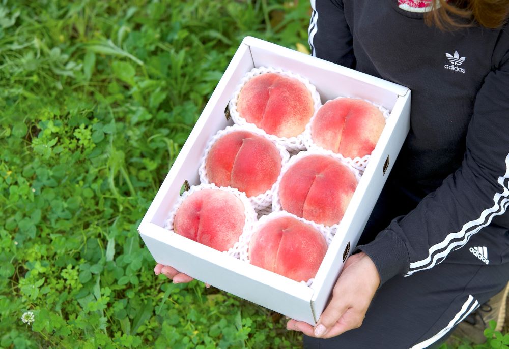 【先行予約】 朝もぎ直送！山梨の桃  5~6玉　2kg箱　化粧箱【2026年7月上旬から発送】おさだ農園[5839-0171] 