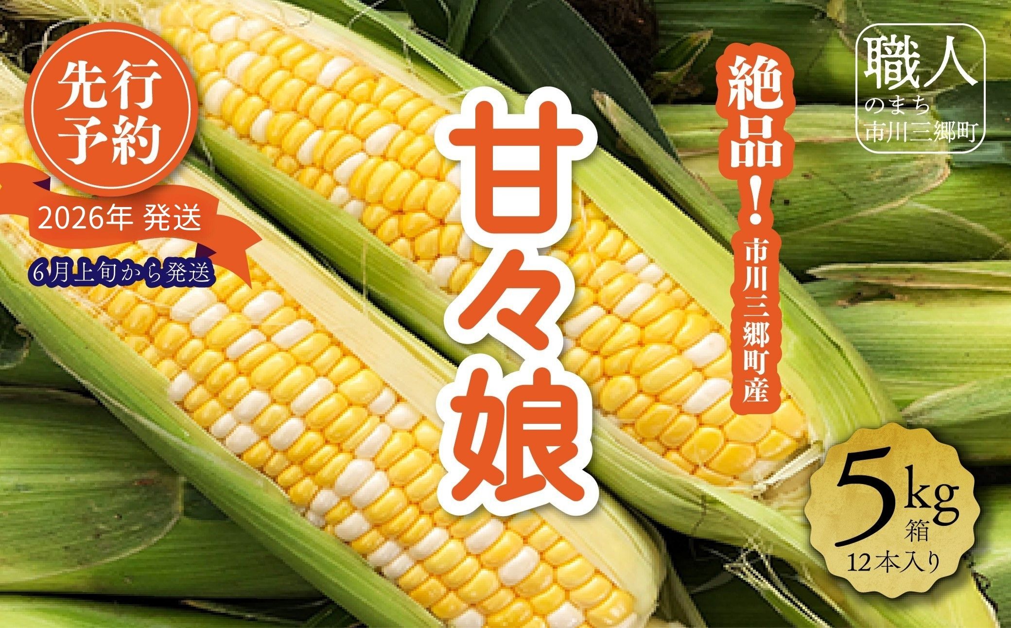 絶品！市川三郷町産甘々娘（とうもろこし）12本入り 5kg箱　じろう農園[5839-1336]