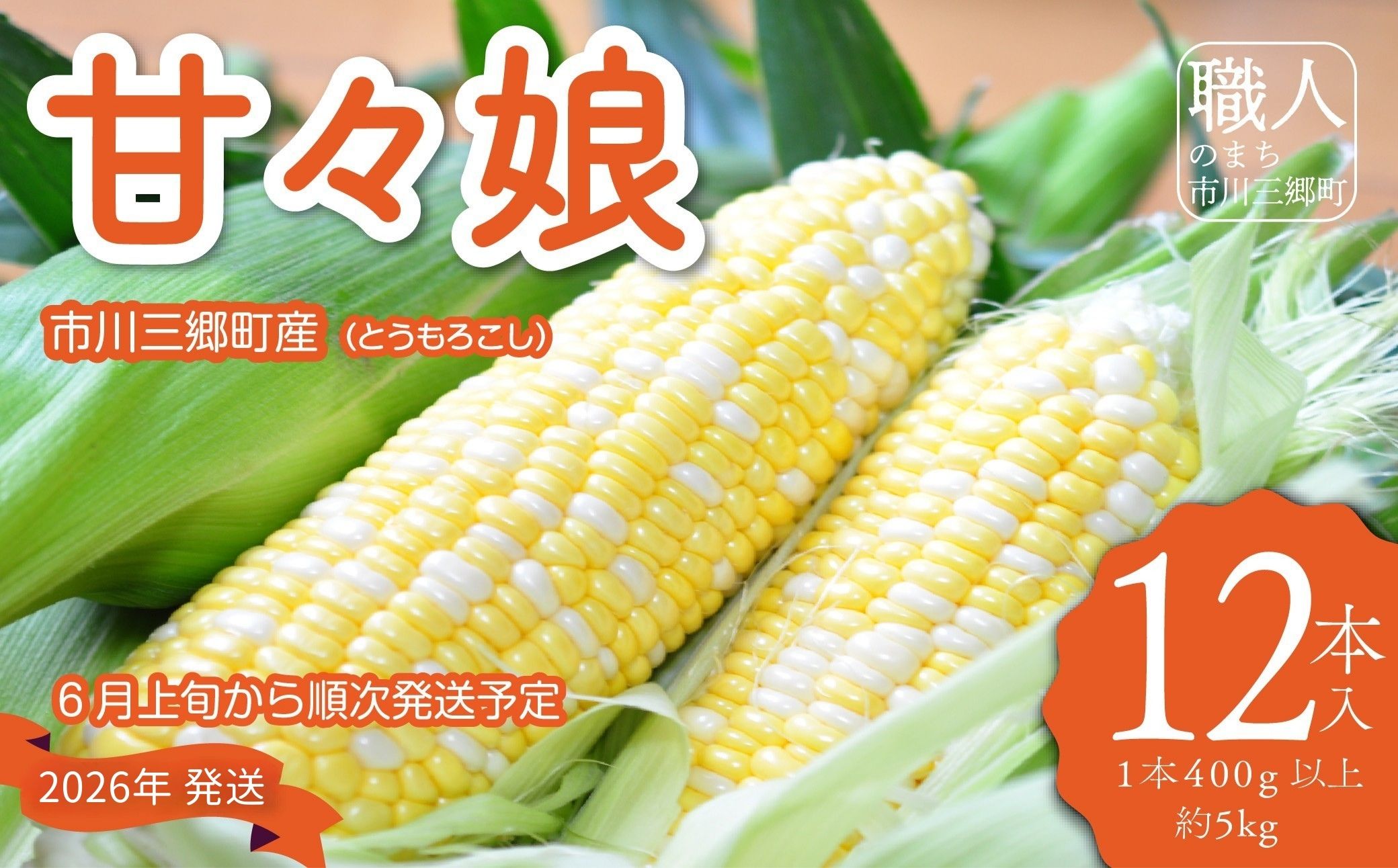 市川三郷町大塚産の甘々娘（とうもろこし）12本入り 【2025年6月上旬発送】　Kai Sweet Farm[5839-1011]