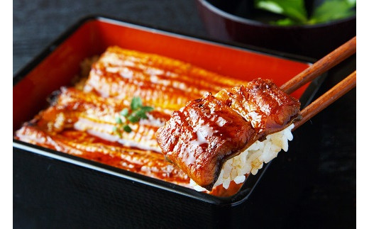 【中央市共通返礼品】国産うなぎ　職人手焼き蒲焼2尾（約260g） [5839-1508]