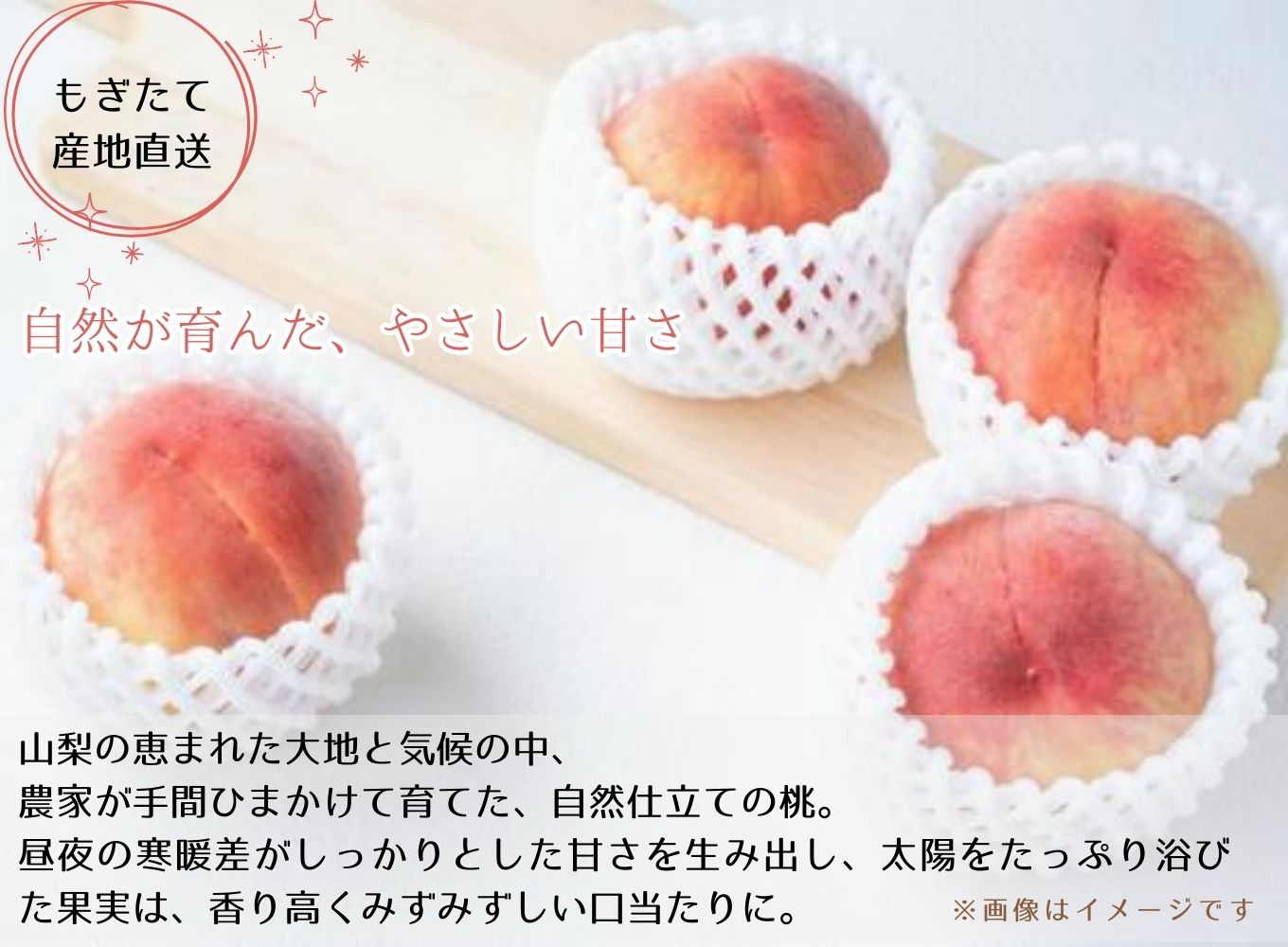 【市川三郷町産】プレミアム 桃6玉　【2026年7月中旬から発送】！Inakakara[5839-2019]