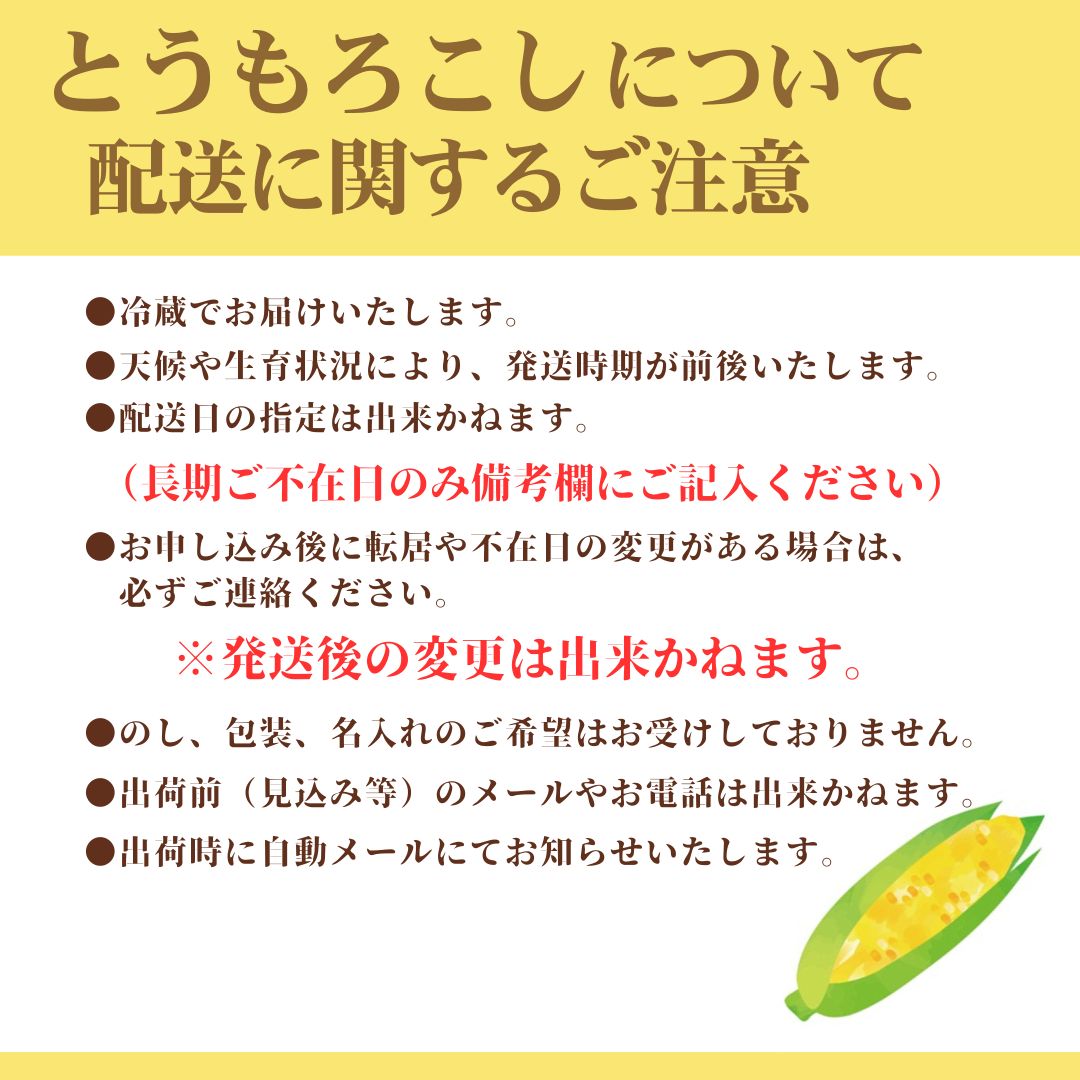2026年6月中旬から発送【朝採り】ドルチェドリーム(とうもろこし)　６本入り（約2.5kg）　ヒルサイドオーチャード[5839-2088]