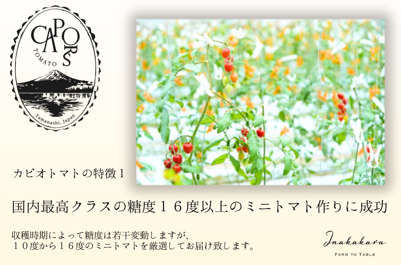 【山梨県南部町 共通返礼品】【高糖度・栄養満点】カピオトマトジュースプレミアム 720ml×1本 株式会社アクロプラス [5839-2226]