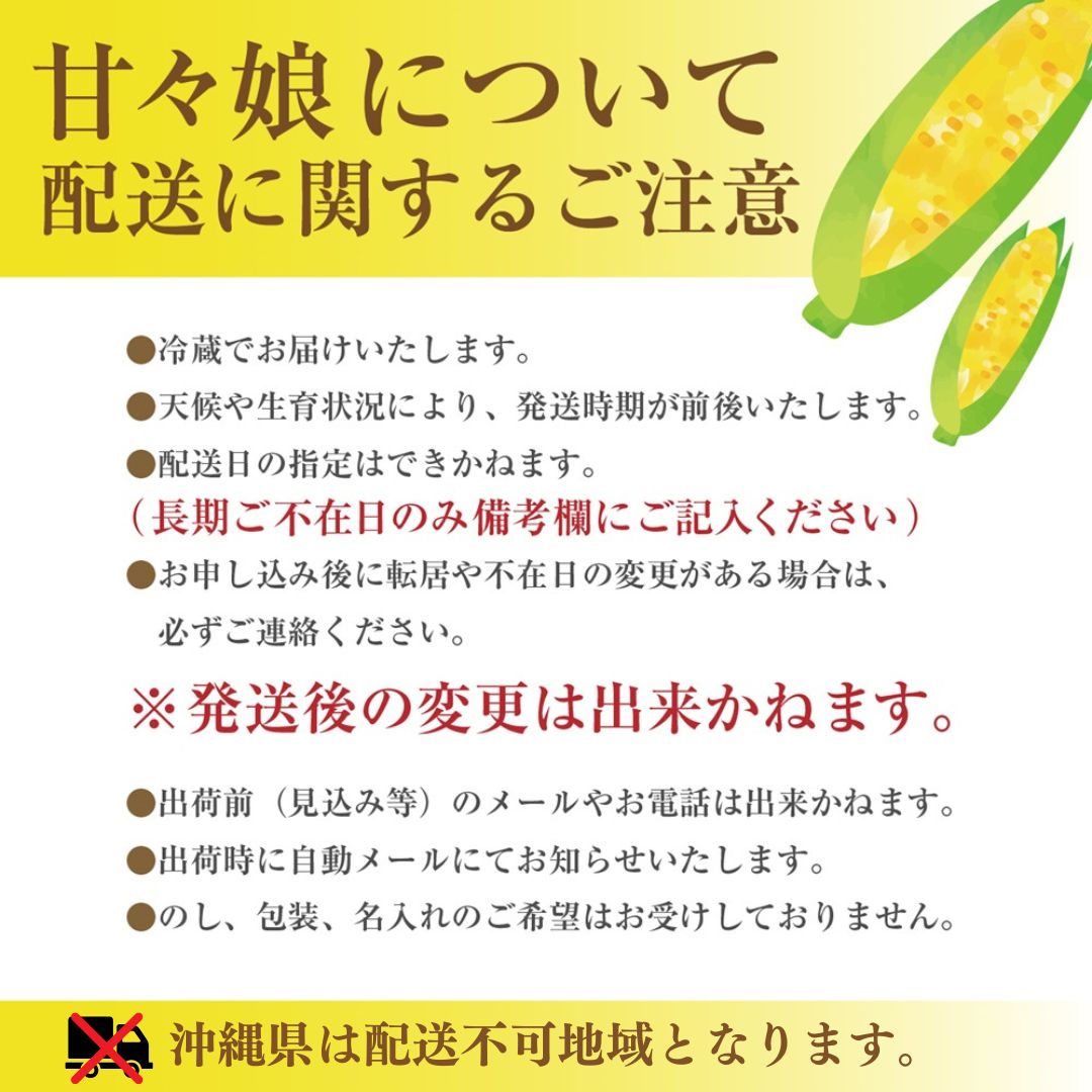 極甘フルーツとうもろこし「甘々娘（かんかんむすめ）」 わけありスイート 5～6本入り 【2026年6月中旬から発送】 アグリ甲斐 [5839-8581]