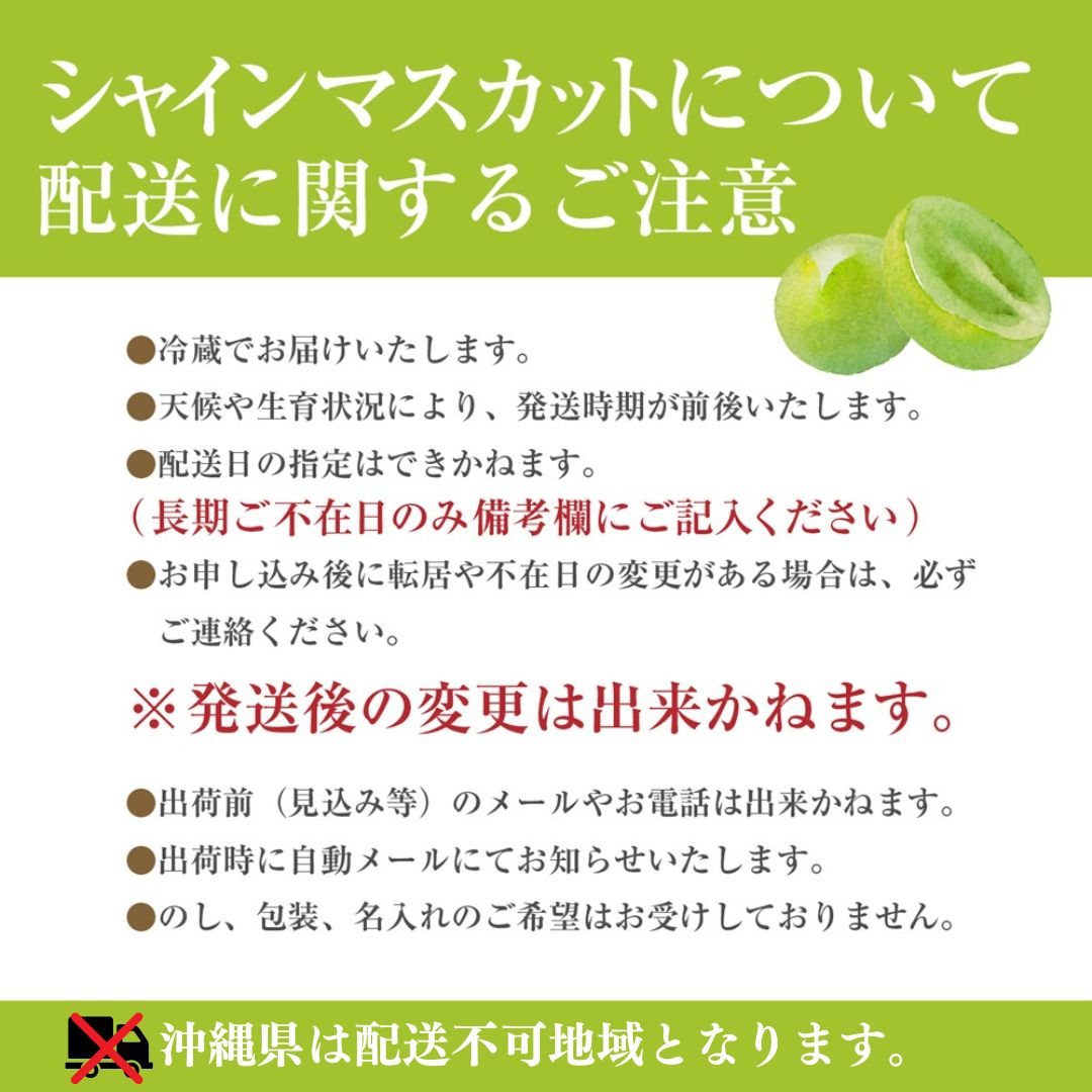 シャインマスカット 【2026年発送】 山梨 2kg箱 ぶどう 葡萄 山梨県 フルーツ 果物 くだもの ギフト 産地直送 人気 ないとうぶどうファーム [5839-1222]