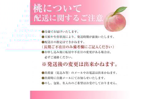 山梨の桃 5～6玉 2kg箱　2026年7月中旬から発送　大倉農園[5839-0005]
