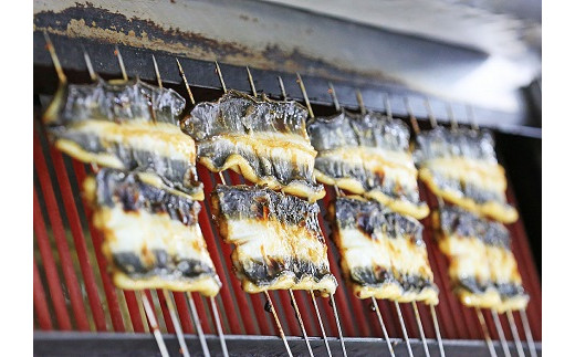 【中央市共通返礼品】国産うなぎ　職人手焼き蒲焼2尾（約260g） [5839-1508]