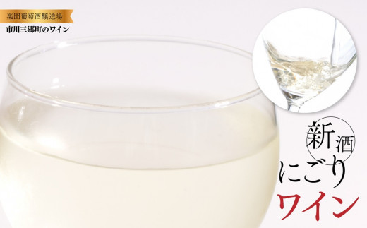 2025年収穫　新酒ワイン　にごり白ワイン　720ml×2本セット[5839-1460]