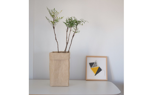 SIWA ボックス M　ブラウン[5839-9975]