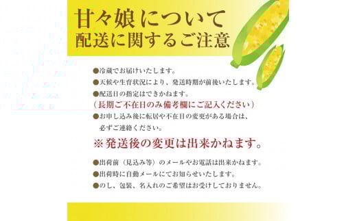 市川三郷町大塚産の甘々娘（とうもろこし）６本入り 【2026年6月上旬発送】　Kai Sweet Farm[5839-2060]