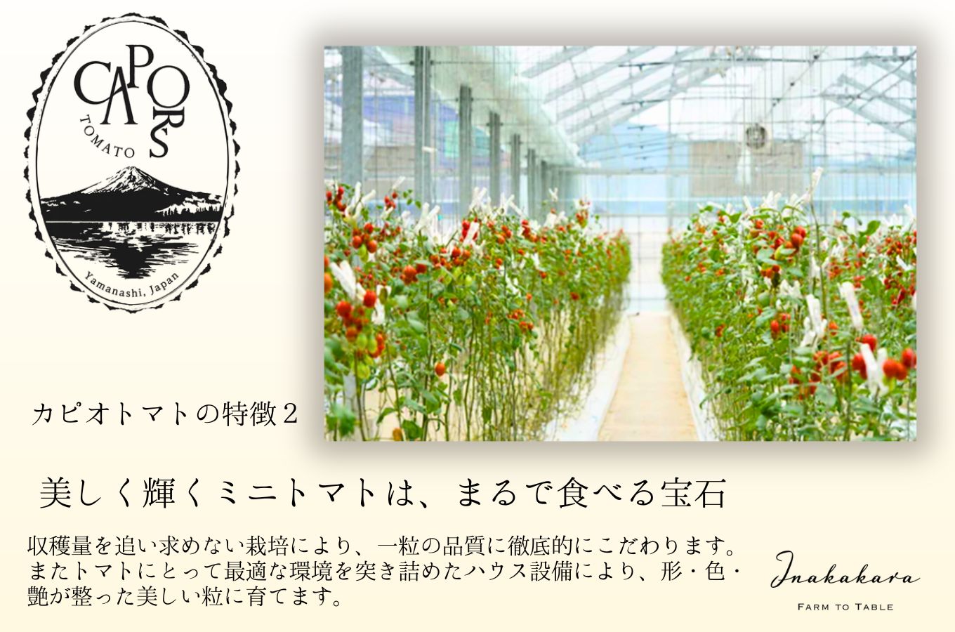 【山梨県南部町 共通返礼品】【高糖度・栄養満点】カピオトマトジュースプレミアム 720ml×1本 株式会社アクロプラス [5839-2226]