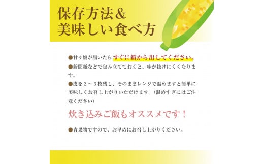 絶品！市川三郷町産甘々娘（とうもろこし）12本入り 5kg箱　じろう農園[5839-1336]