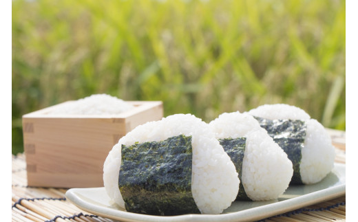 【R7年度産】山梨県産：コシヒカリ　網倉さん家のお米(玄米)[5839-9023]