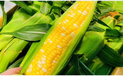 【レストラン特製】 山梨 スイートコーンを使用した焼とうもろこしの冷製スープ （４袋入り） [5839-1399]