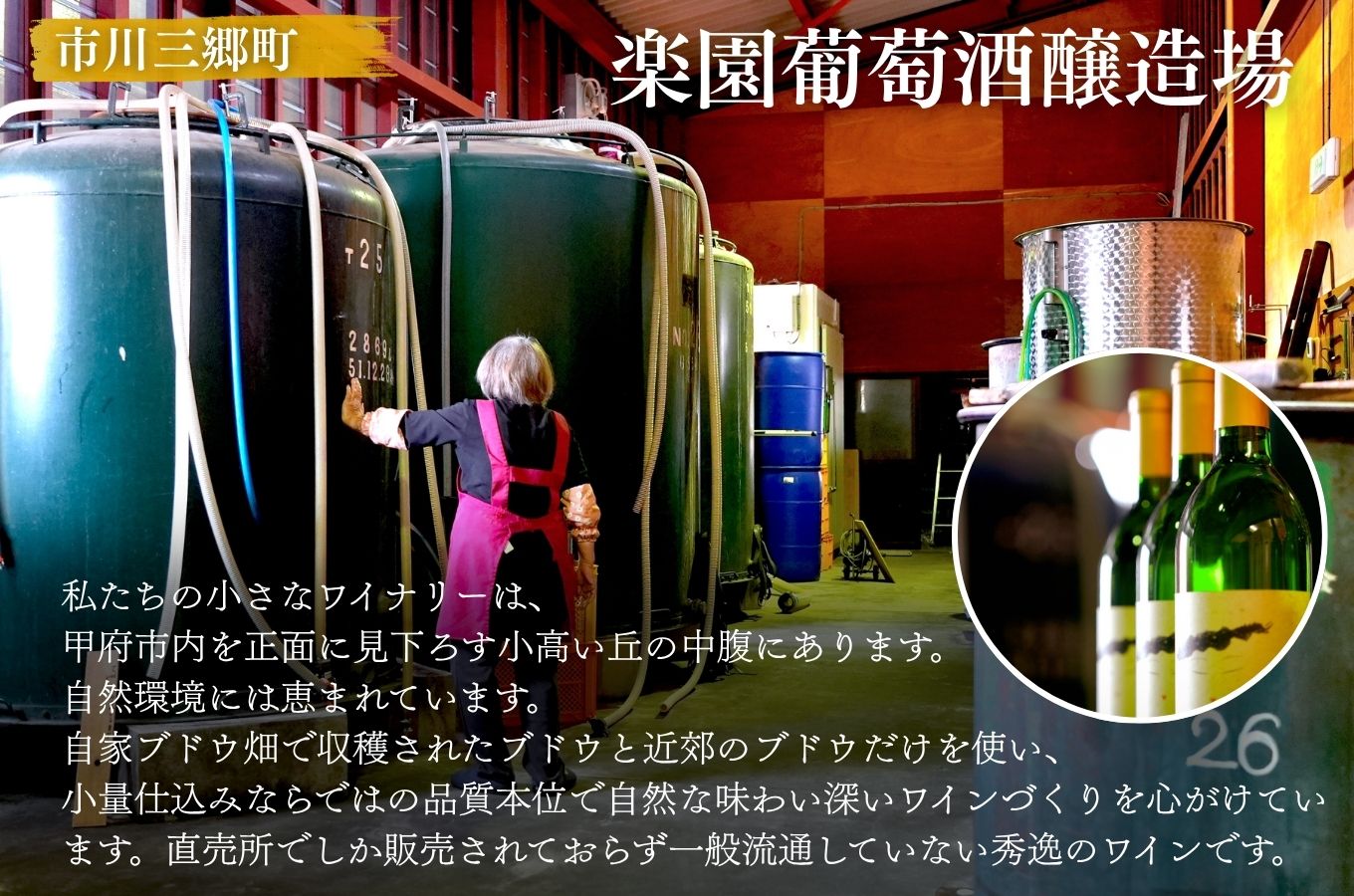 【峡南２町共通返礼品】日本酒純米酒（春鶯囀）・ワイン（楽園ワイン白）セット[5839-1260]