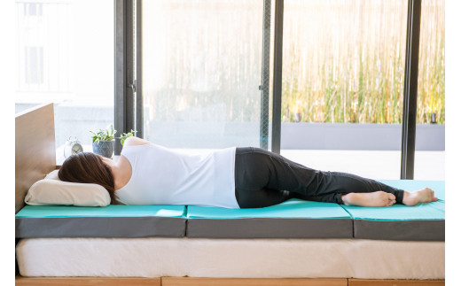 ファセット プレミアム 三つ折れ敷布団 厚み8cm [5839-1593]　