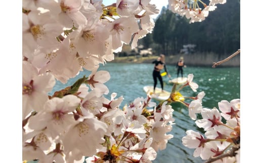 四尾連湖 NATIVEギフトチケット30,000円券　native surf5839-2079]