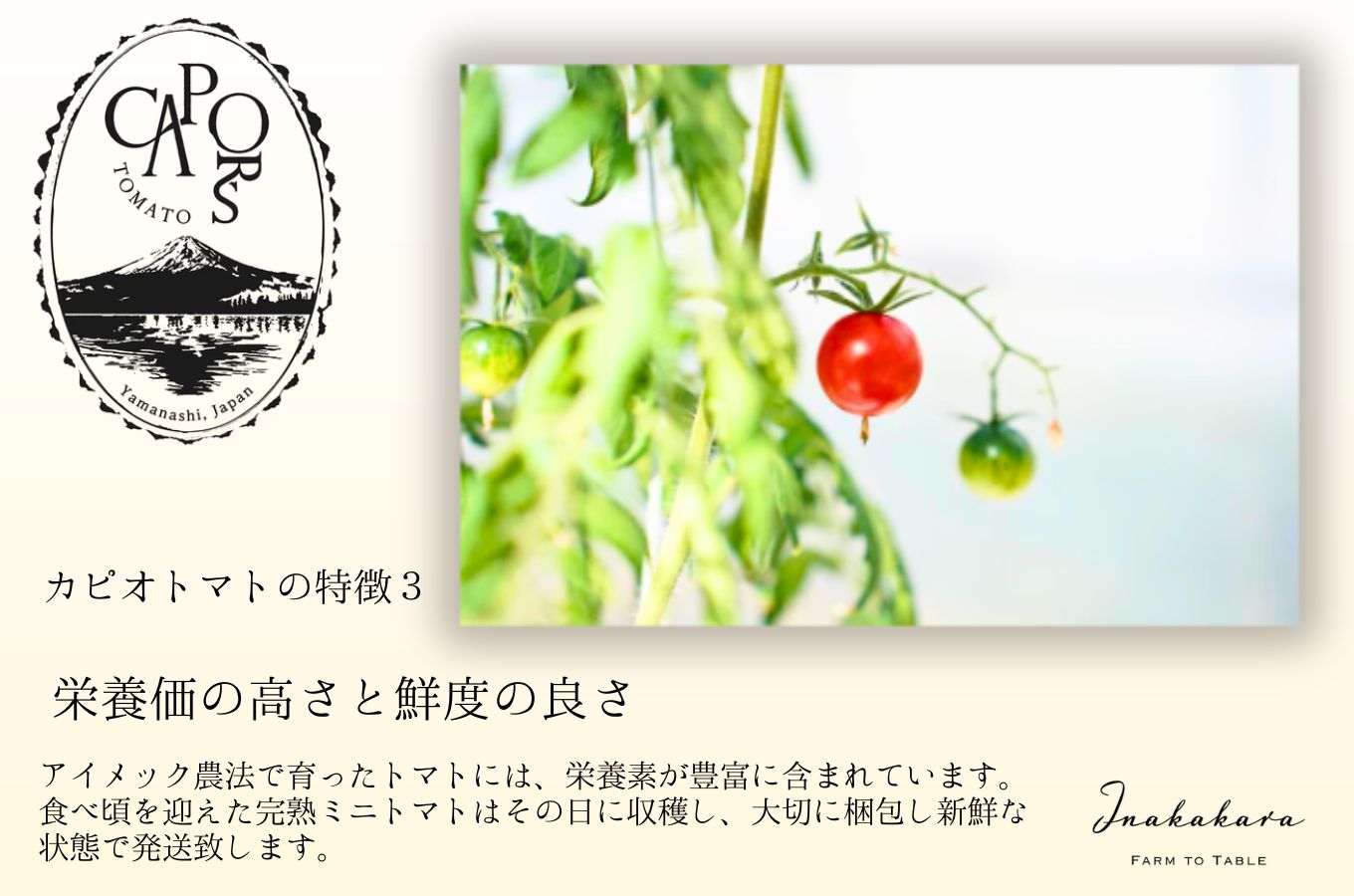 【山梨県南部町 共通返礼品】【高糖度・栄養満点】カピオトマトジュースプレミアム 720ml×1本 株式会社アクロプラス [5839-2226]