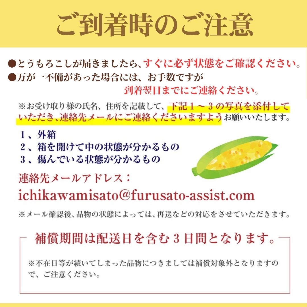 【2026年6月上旬から発送】ドルチェドリーム 4本入り REGALO（山梨県市川三郷町産） [5839-2227]