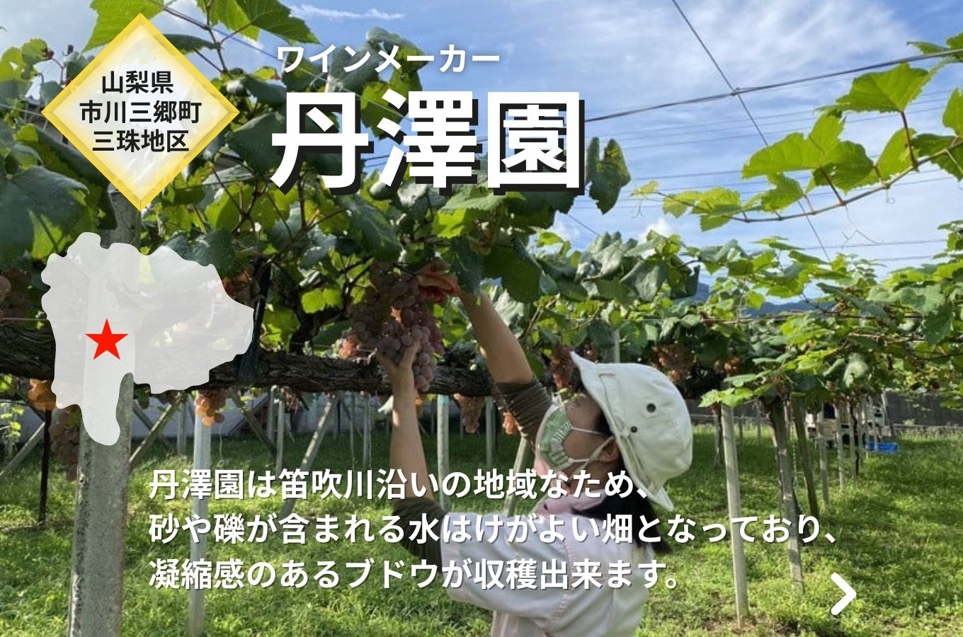 ワイン 白ワイン 山梨 750ml 「三珠甲州　バレル・ファーメンテッド」 シャトー・メルシャン [5839-2264]